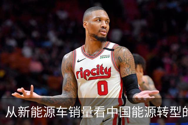 从新能源车销量看中国能源转型的世界启示
