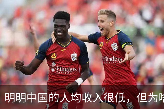 明明中国的人均收入很低，但为啥老百姓的生活比发达国家都要好？