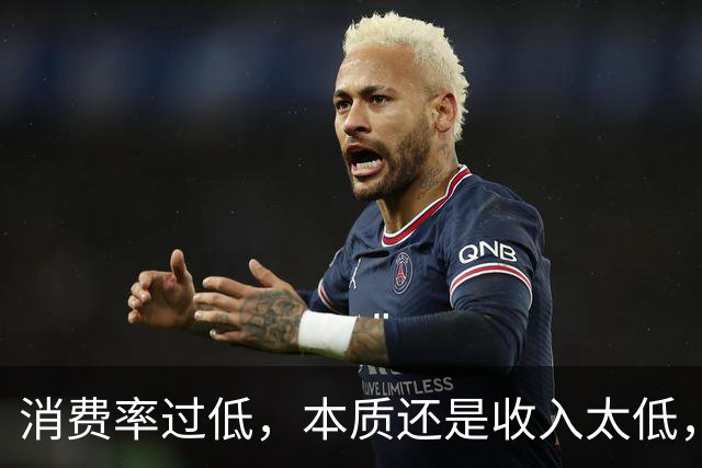 消费率过低，本质还是收入太低，提高分配收入才是重点