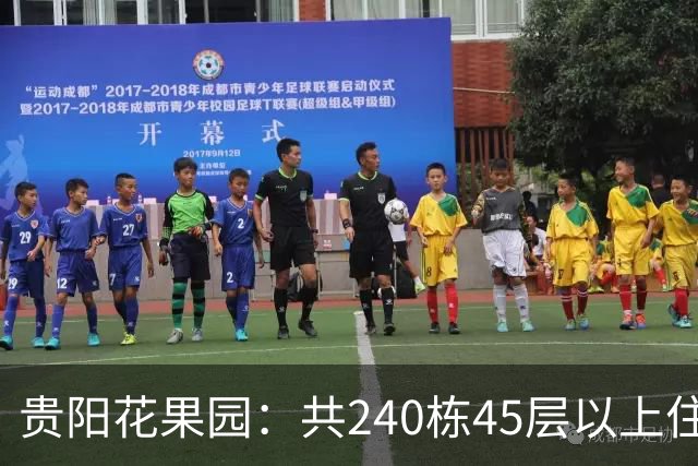 贵阳花果园：共240栋45层以上住宅，房价从3千涨到1.4万，如今严重分化