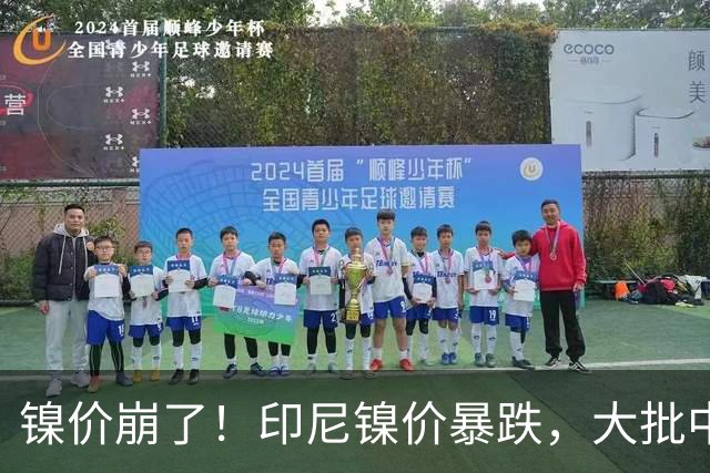 镍价崩了！印尼镍价暴跌，大批中企在印尼镍厂亏惨，集体减产！