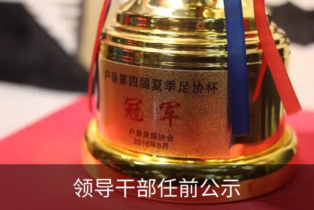 领导干部任前公示