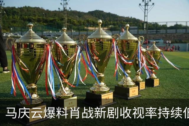 马庆云爆料肖战新剧收视率持续低迷！认定肖战要负责，演技不过关