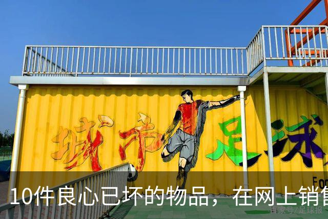 10件良心已坏的物品，在网上销售，专坑国人，大家千万不要被骗了