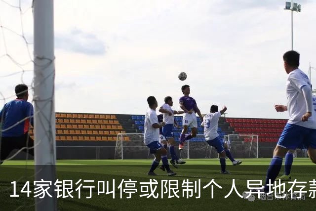 14家银行叫停或限制个人异地存款