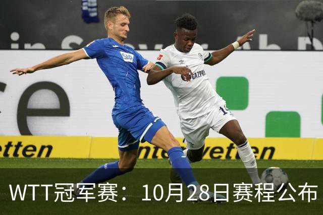 WTT冠军赛：10月28日赛程公布！国乒5大主力首秀，王曼昱等人登场